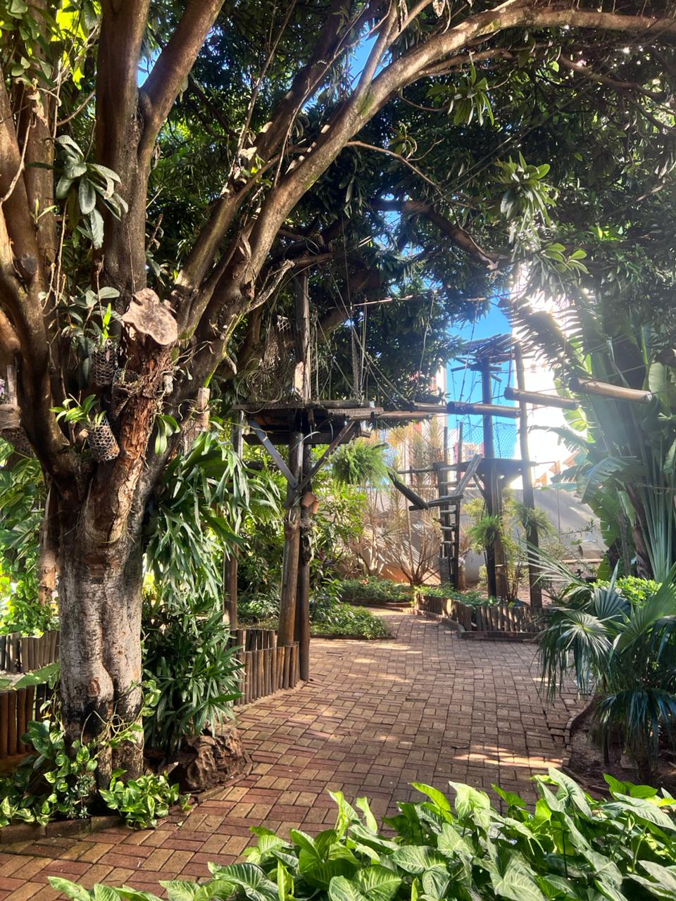 Natureza